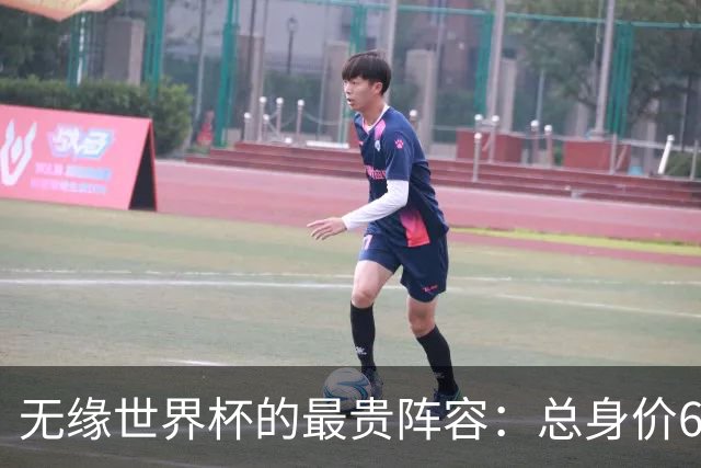 无缘世界杯的最贵阵容：总身价6.7亿 意大利5人